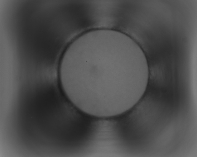 X0000100920632200807081152