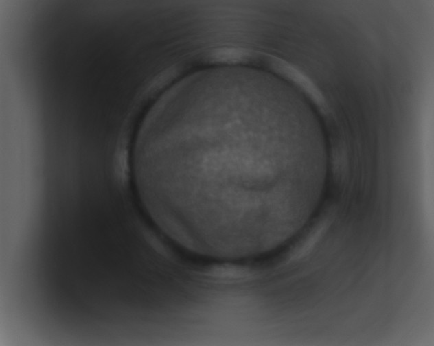 X0000100920633200807081152