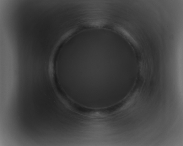 X0000100920634200807081152