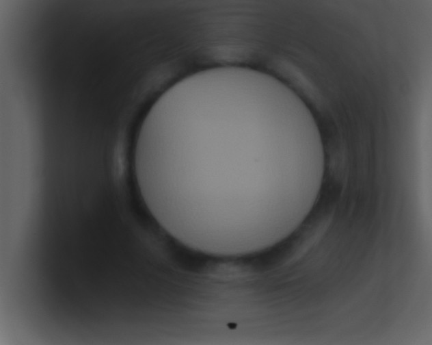 X0000100920635200807081152