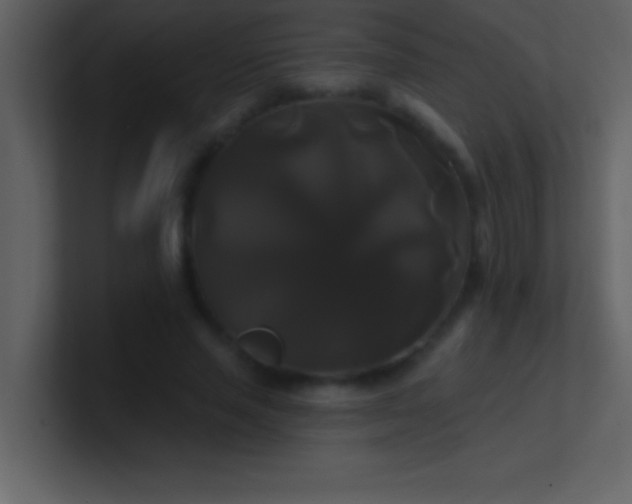 X0000100920637200807081152