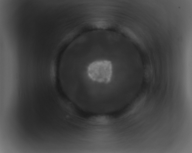 X0000100920639200807081152