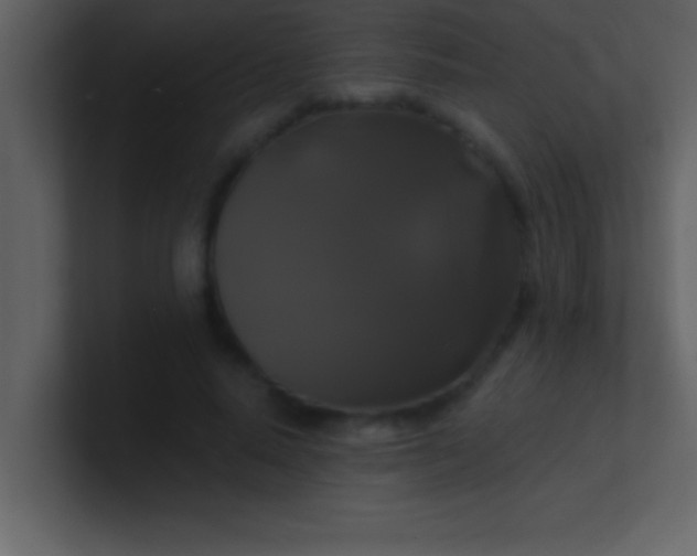 X0000100920640200807081152