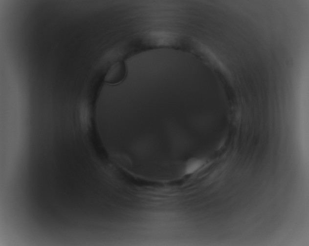 X0000100920643200807081152