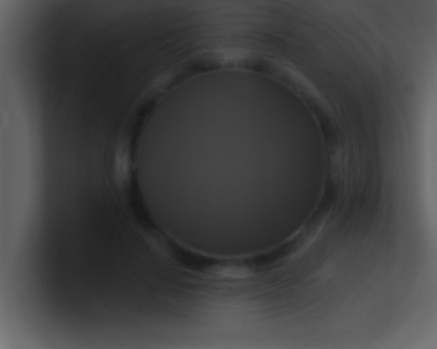 X0000100920644200807081152