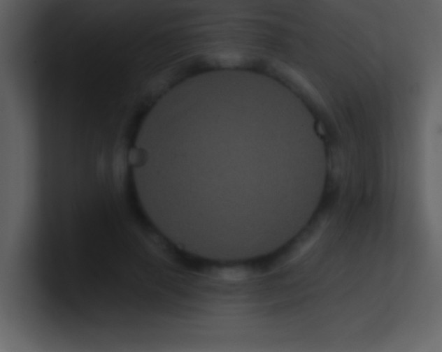 X0000100920645200807081152