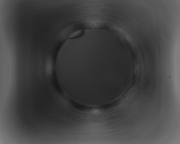 X0000100920647200807081152