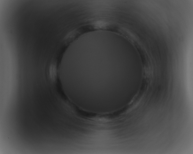 X0000100920648200807081152