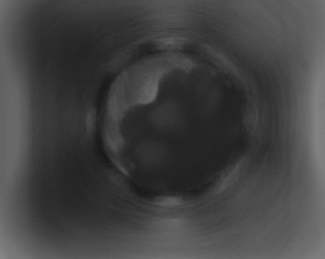 X0000100920649200807081152