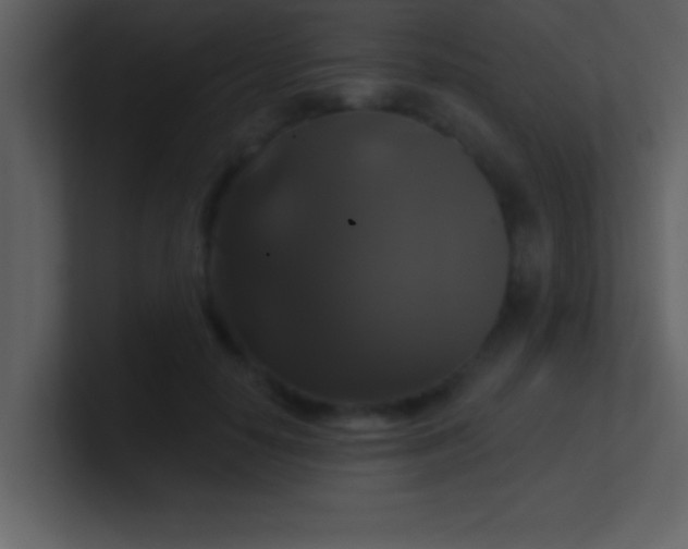 X0000100920650200807081152