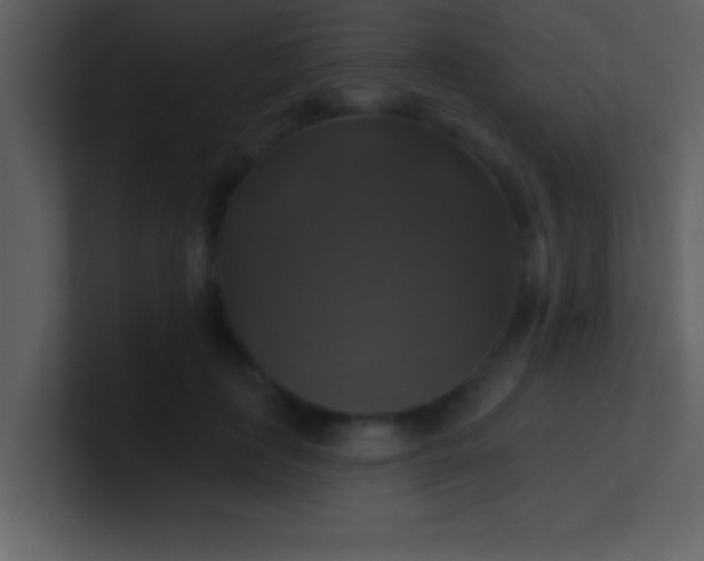 X0000100920651200807081152