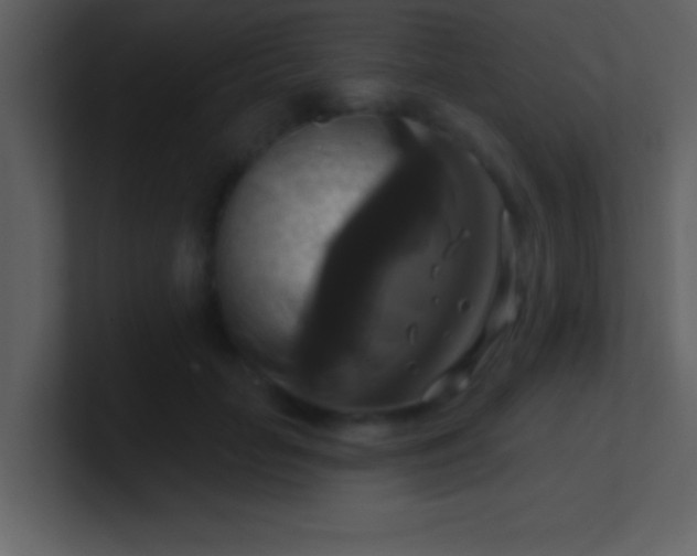 X0000100920653200807081152