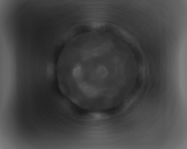 X0000100920654200807081152