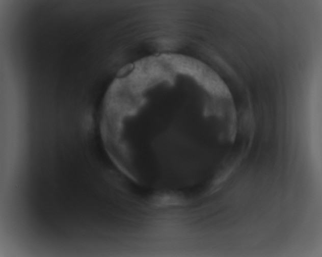 X0000100920655200807081152