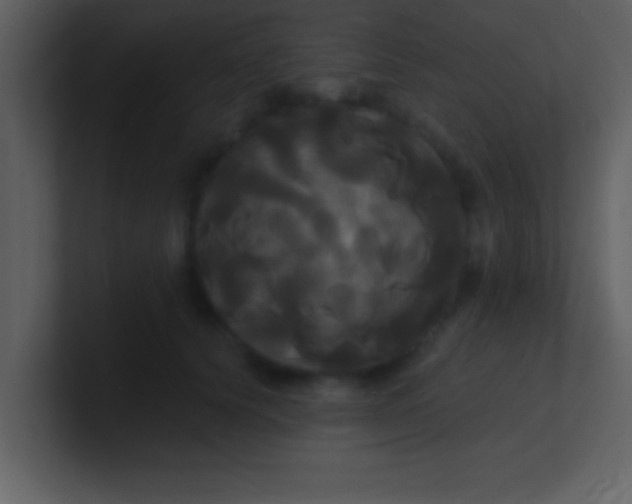 X0000100920656200807081152