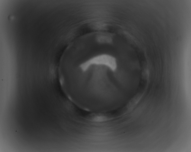 X0000100920658200807081152