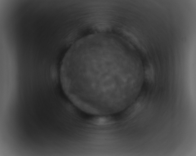 X0000100920662200807081152