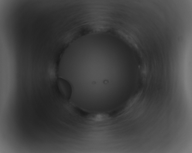 X0000100920663200807081152