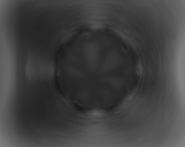 X0000100920664200807081152