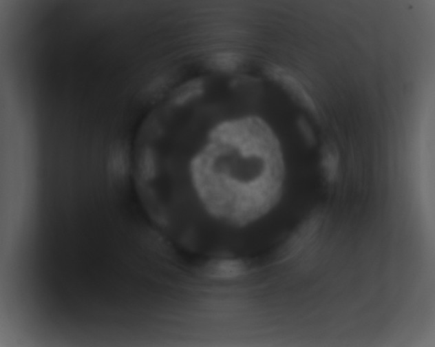 X0000100920665200807081152