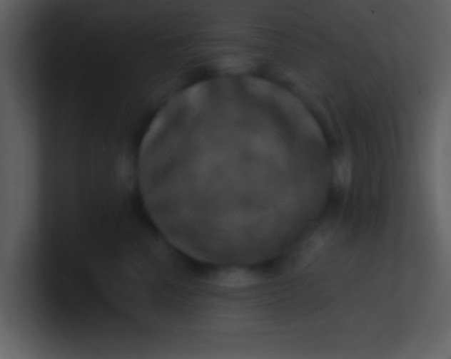 X0000100920666200807081152