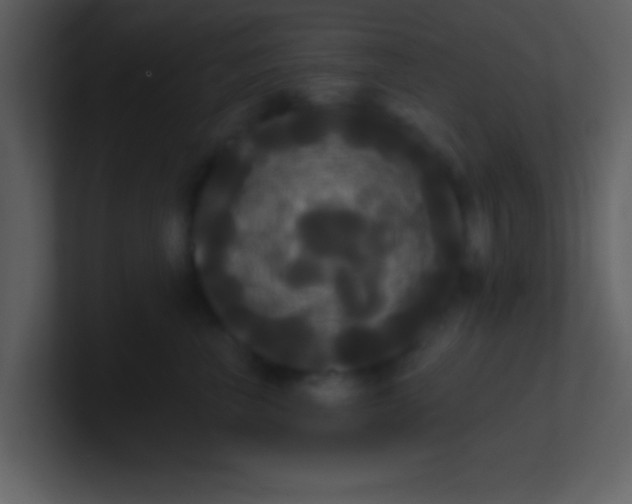 X0000100920667200807081152