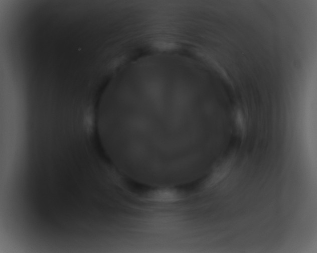 X0000100920668200807081152