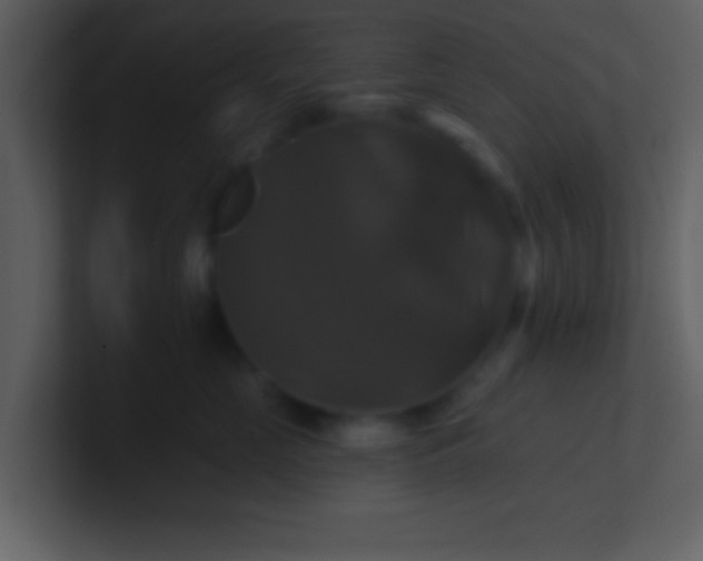 X0000100920669200807081152