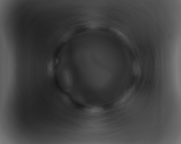 X0000100920670200807081152