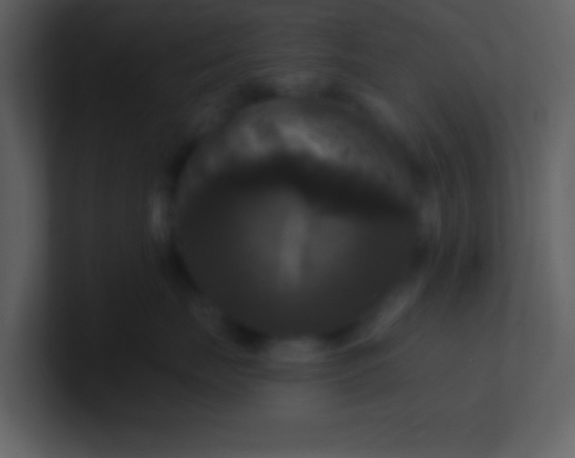 X0000100920671200807081152