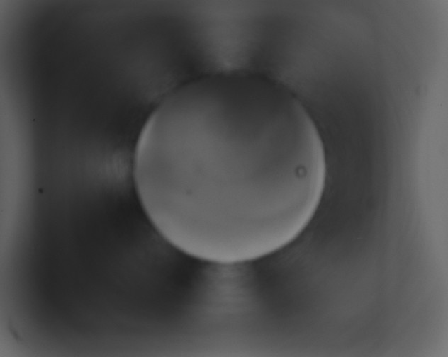 X0000100920672200807081152