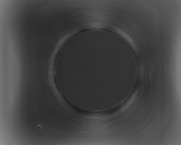 X0000100920673200807081151