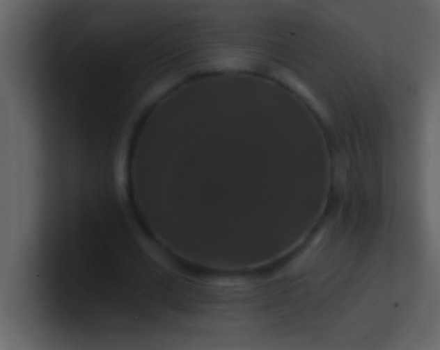 X0000100920677200807081151