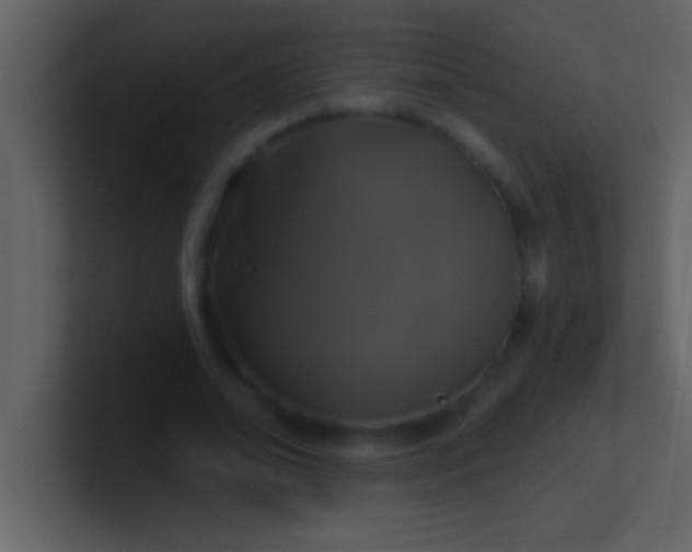 X0000100920678200807081151