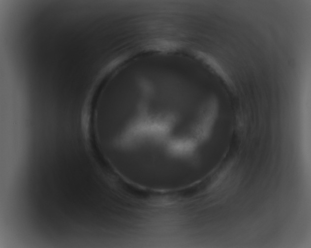 X0000100920679200807081151