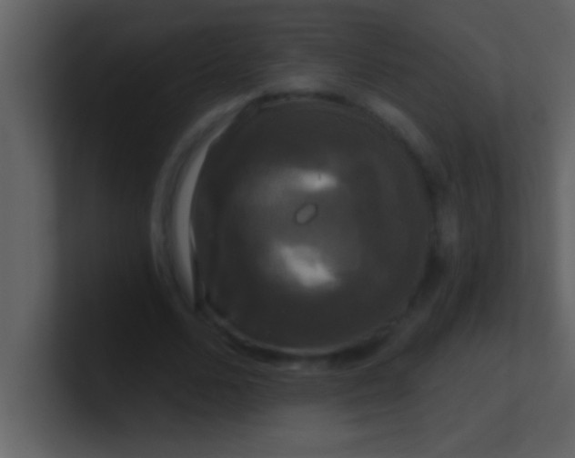 X0000100920680200807081151