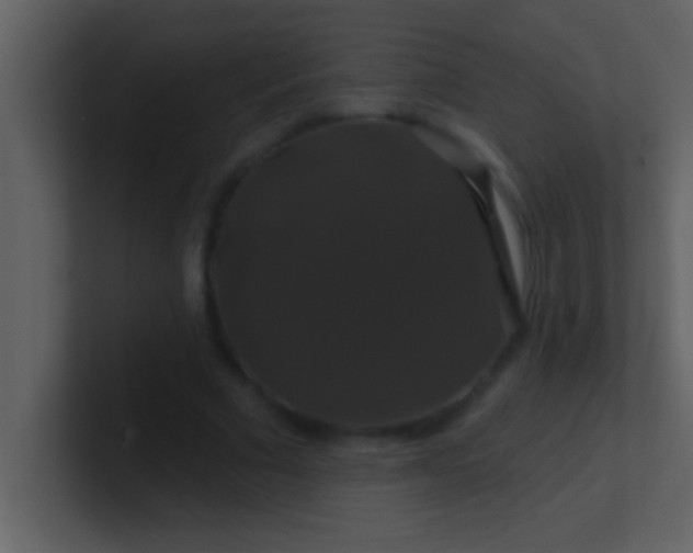 X0000100920681200807081151