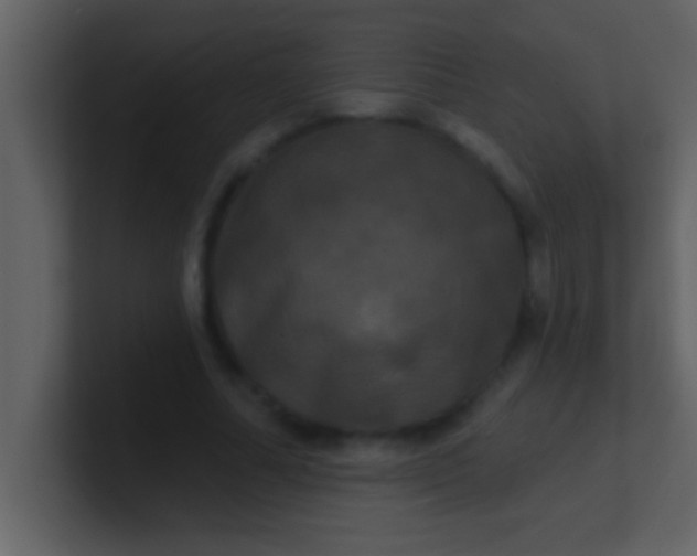 X0000100920682200807081151