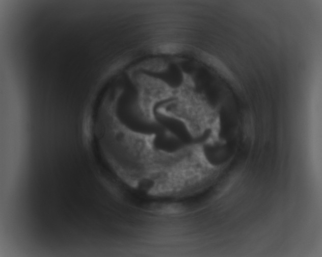 X0000100920683200807081151