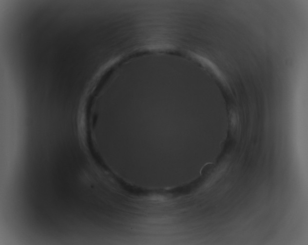 X0000100920684200807081151