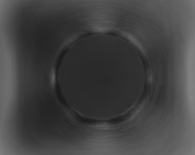 X0000100920685200807081151