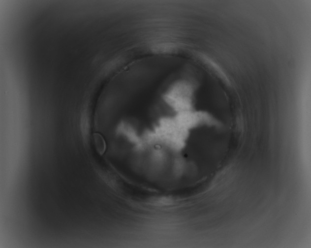 X0000100920687200807081151