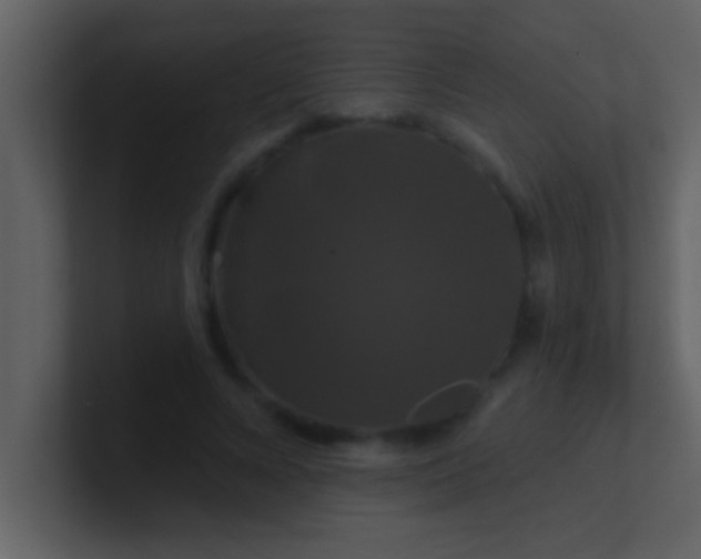 X0000100920688200807081151