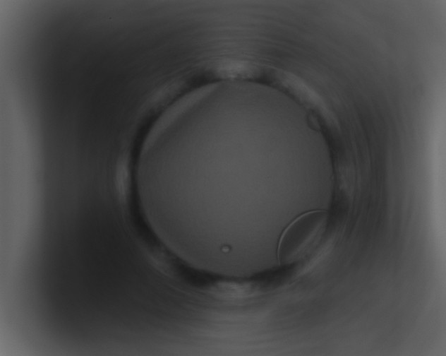 X0000100920690200807081151