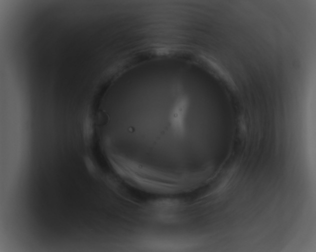 X0000100920691200807081151