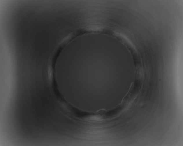 X0000100920692200807081151