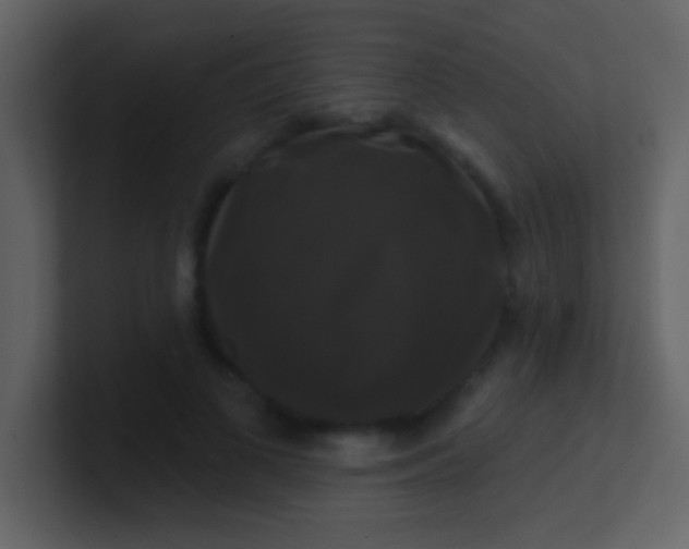 X0000100920693200807081151