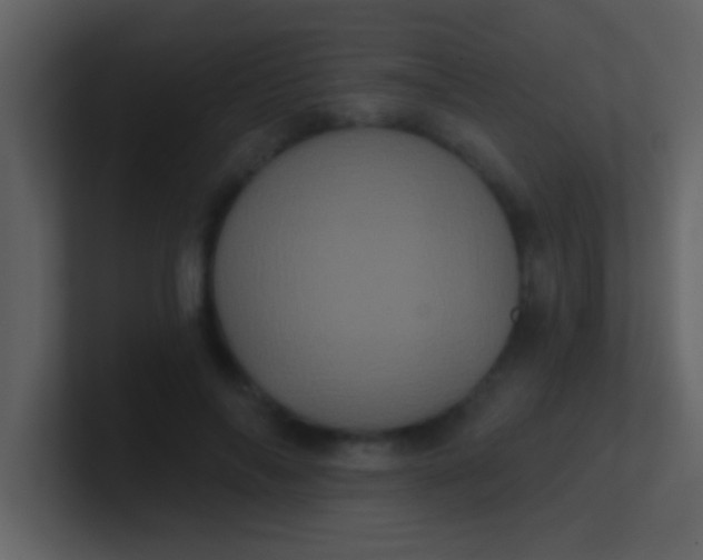 X0000100920694200807081151