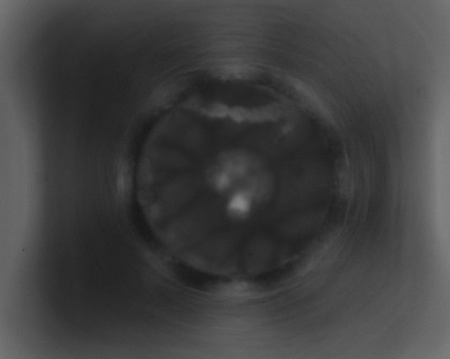 X0000100920695200807081151