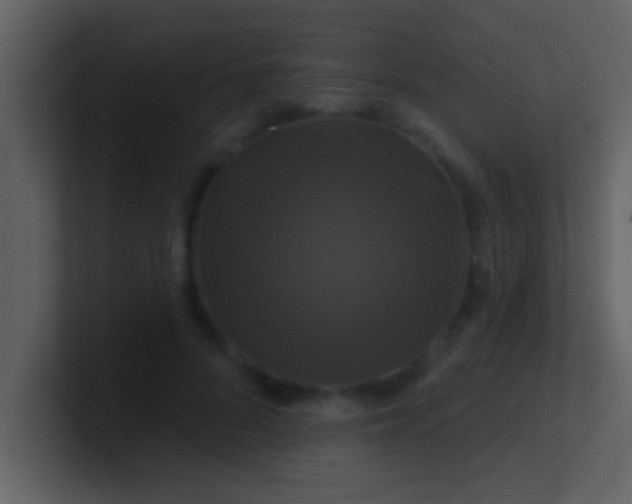 X0000100920696200807081151